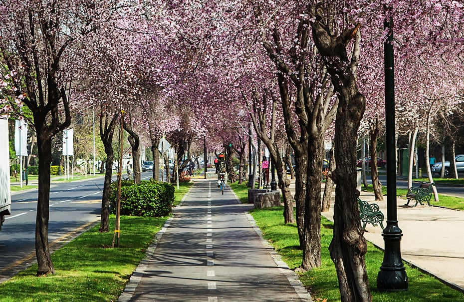 Plaza La Alcaldesa em Providencia